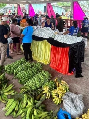 Na sexta-feira (1º), acontece, em Japurá (distante 744 quilômetros de Manaus), a Feira da Agricultura Familiar. À frente da iniciativa, que visa impulsionar a comercialização da produção de agricultores familiares locais, está o Instituto de Desenvolvimento Agropecuário e Florestal Sustentável do Estado do Amazonas (Idam) e a Prefeitura Municipal.