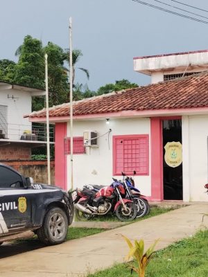 A Polícia Civil do Amazonas (PC-AM), por meio da 59ª Delegacia Interativa de Polícia (DIP) de Japurá (a 744 quilômetros de Manaus), com o apoio da Guarda Civil Municipal (GCM), prendeu, na tarde de terça-feira (07), um indivíduo de 18 anos investigado por estupro de vulnerável contra uma criança de nove anos, além de armazenamento de pornografia infantil e injúria racial. O autor se passava por jogador de ‘Free Fire’ para enviar conteúdo sexuais e mensagens racistas a crianças.
